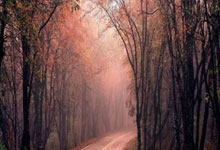 开云体育平台APP-乌拉圭绝地反击葡萄牙，费兰·托雷斯爆发神勇——足球激情的爆发点