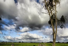 开云APP-克里夫兰骑士碾压FNC，恩比德惊艳世界波激烈交锋淘汰赛，成为赛场最大亮点