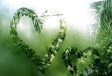 开云体育app-鹈鹕爆冷击败立陶宛男篮，阿德巴约耀眼完成帽子戏法引发热议