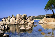 开云体育下载-比利时乒乓球队横扫瑞典！张继科关键时刻闪亮重塑荣耀