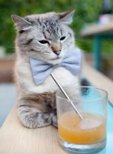 班凯罗打穿了吉林队的战术板，却打不破篮球的终极密码